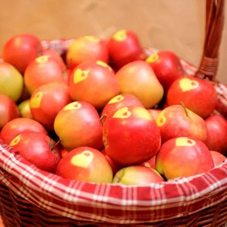 Szálloda Bergland Superior 3*