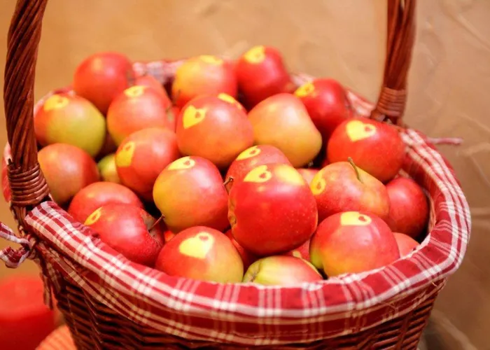 Hotel Bergland Superior 3*